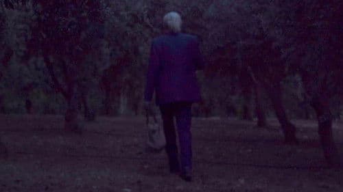 چرۆی درەختە پیرەکان Bild 2