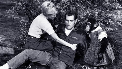 Schmeißt die Affen raus Bild 5