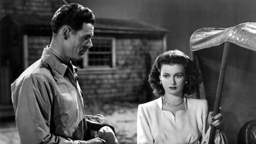 Die Frau am Strand Bild 3