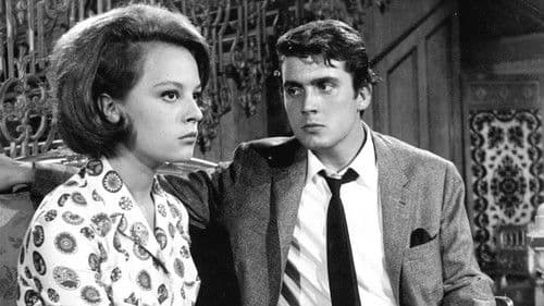 Posta Güvercini Bild 1