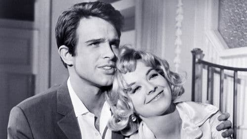 Der Gentleman-Zinker Bild 2