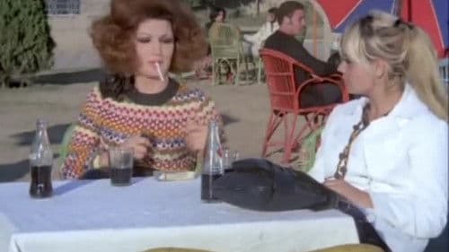 المطلقات Bild 8