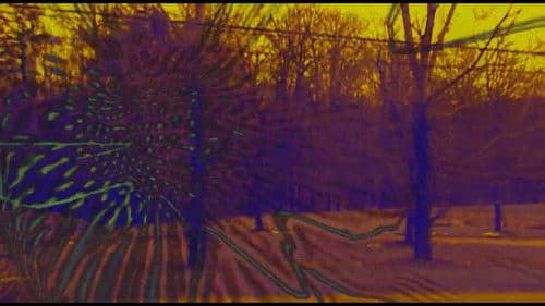 Joose Psychedelia Test Bild 6