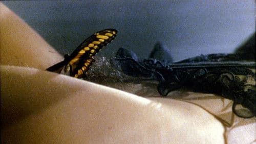 Königin der Nacht Bild 2