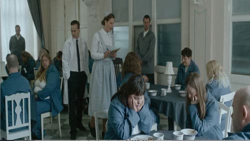 Sockerexperimentet Bild 6