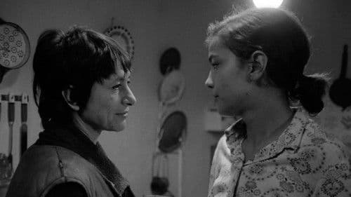 Örökbefogadás Bild 1