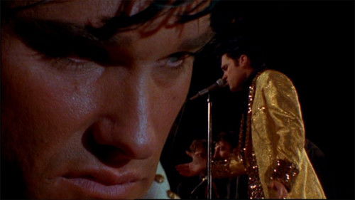 Elvis Bild 8