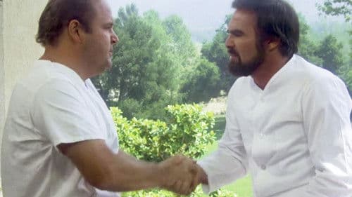 Nobody Is Perfect Bild 4