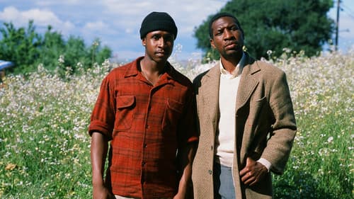 The Last Black Man in San Francisco Bild 6