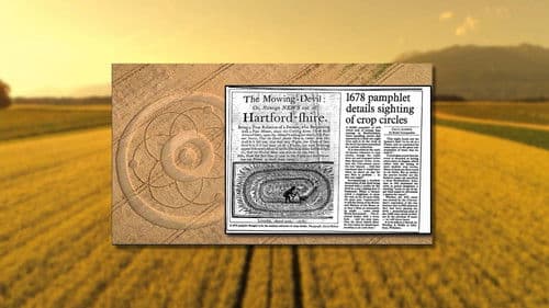 Crop Circle Realities Bild 1