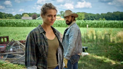 Der Ballonfahrer Bild 3