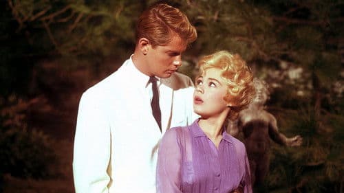 Die Sommerinsel Bild 1