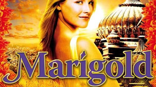 Marigold Bild 7