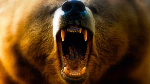 Auf Messers Schneide - Rivalen am Abgrund Bild 3