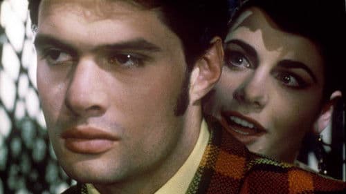 Desperate Remedies Bild 2