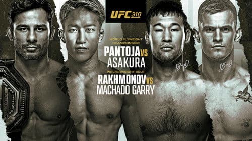 UFC 310: Pantoja vs. Asakura Bild 2