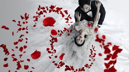 태풍의 신부 Bild 1