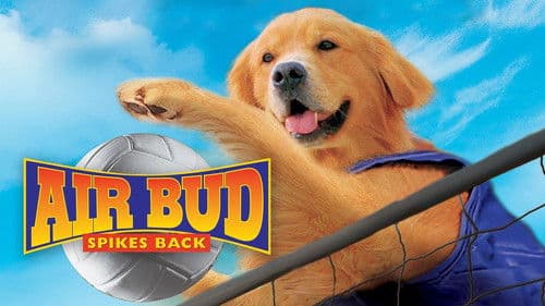 Air Bud 5 - Vier Pfoten schlagen auf Bild 1