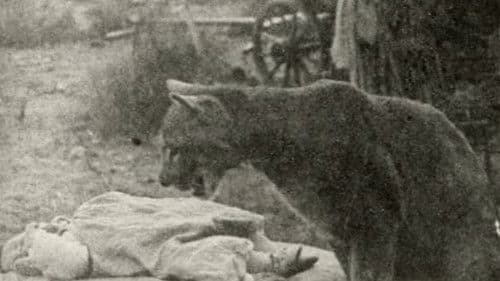 The Sheriff's Baby Bild 1