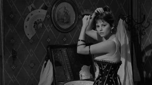 Das Haus in der Via Roma Bild 7