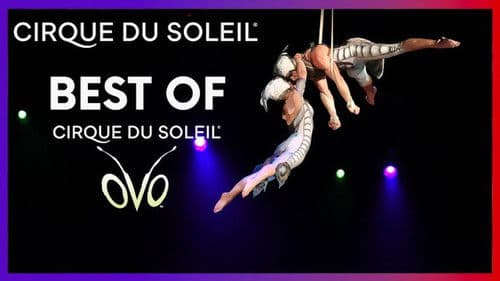 Cirque du Soleil: Best Of Bild 2