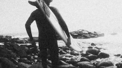 Forward. To Past. Bild 1