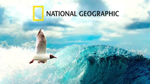 Wildes Hawaii Bild 2