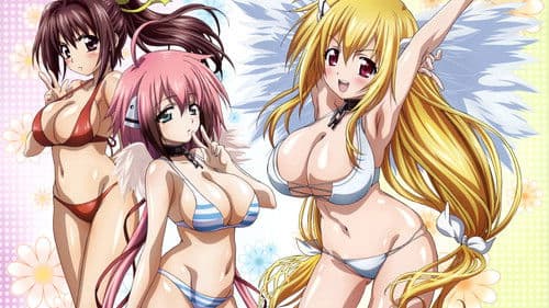 Angeloid Bild 4
