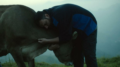 Lessons of Love Bild 1