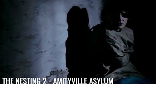 The Nesting 2 - Amityville Asylum Bild 1