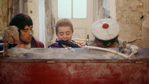 Vtáčkovia, siroty a blázni Bild 4