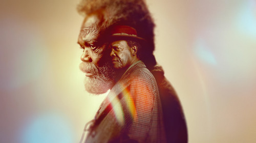 Die letzten Tage des Ptolemy Grey Bild 3