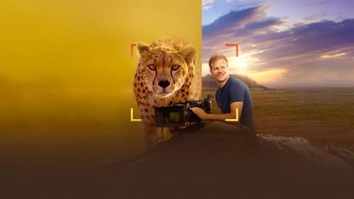 Geparde hautnah mit Bertie Gregory Bild 8