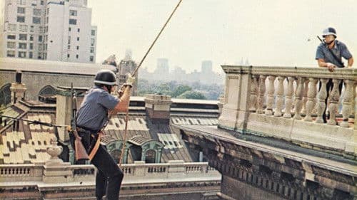 Der Anderson Clan Bild 7