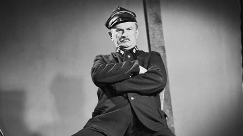 Der Mann auf den Schienen Bild 4