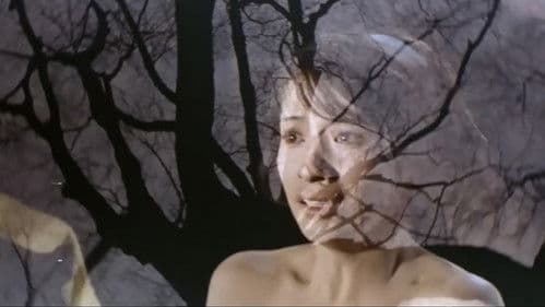 三人の女　夜の蝶 Bild 1