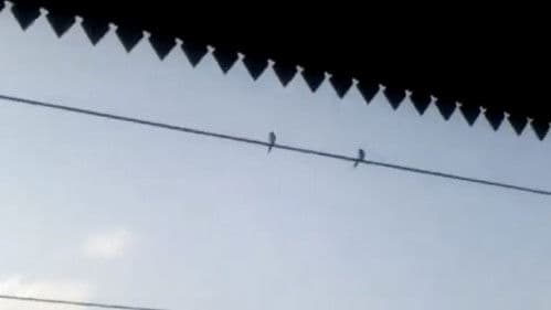 Moment To Moment Bild 1