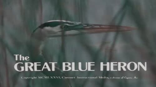 The Great Blue Heron Bild 1