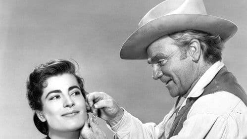 Mein Wille ist Gesetz Bild 4