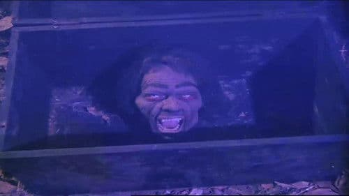 पुराना मन्दिर Bild 3