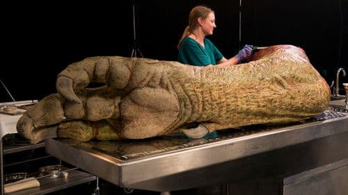 T. Rex Autopsy Bild 4
