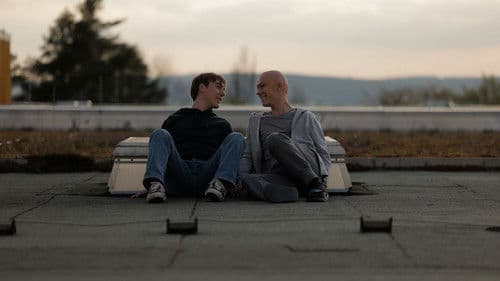 Leben ist jetzt - Die Real Life Guys Bild 1