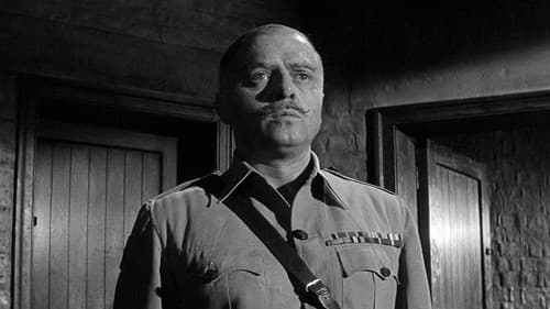 Schüsse in Batasi Bild 5