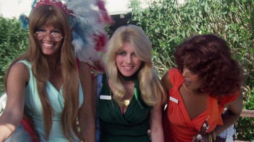 Blazing Stewardesses Bild 2