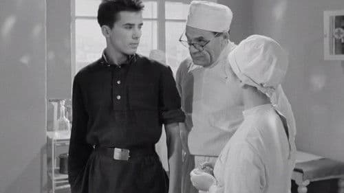 Прощайте, голуби! Bild 1