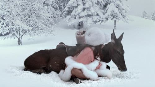 Die schlafende Schöne Bild 7