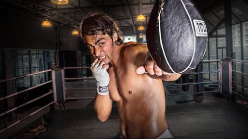 Turkish Tiger Bild 3