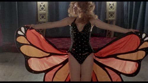 Doctor Dracula Bild 3