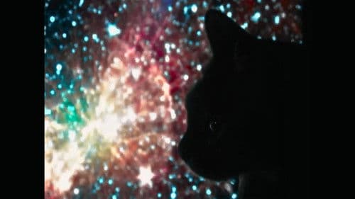 O Subjetivo Observatório Bild 1