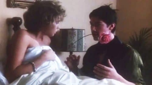 Träume werden wahr Bild 1